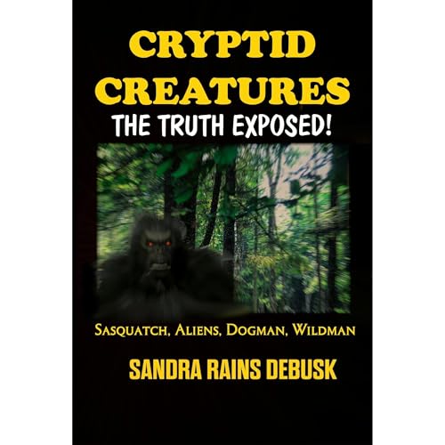 Get Lost In Into A Ground-Breaking Full Audiobook Before Bedtime.