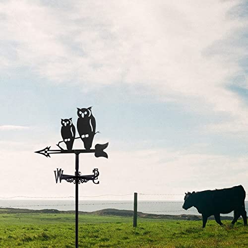 Ydhnb Metal Owl Weathervane Garden Decorative Weather Vane Stainless Steel Wind Vane Wind Direction Indicator For Outdoor Iron Roof Garden Yard Farm Scene #TOP5