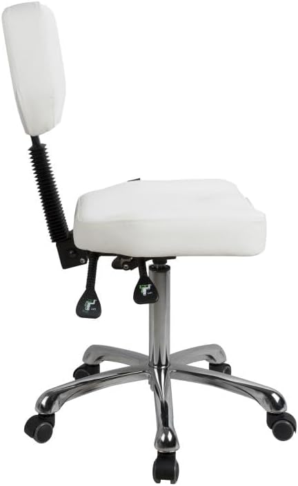 GreenLife Silverfox Rolling Stool with Backrest 1030