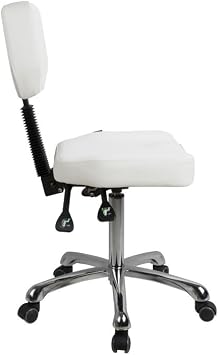 GreenLife Silverfox Rolling Stool with Backrest 1030