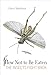 How Not to Be Eaten: The Insects Fight Back