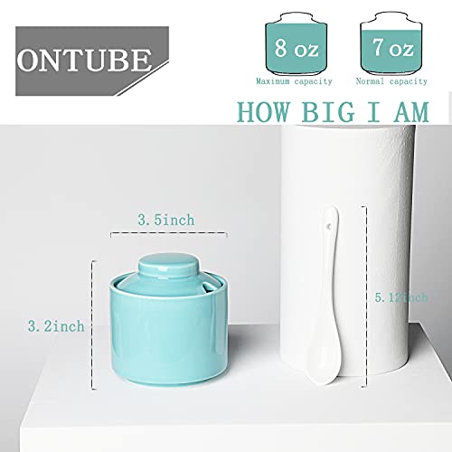 Ontube Ceramic Sugar Bowl With Lid And Spoon,Porcelain Seasoning Box Salt Bowl,8Oz （Turquoise Blue） #TOP2
