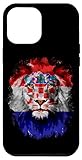 Photo Gallery custodia per iphone 15 plus vintage croatia flag with lion face croatian croatia flag Photo Gallery custodia per iphone 15 plus vintage croatia flag with lion face croatian croatia flag