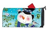 MailWraps Studio M Hello My Friends LARGE Magnetic Mailbox Cover