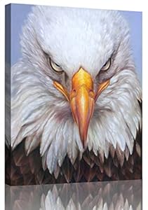 Sense&Sensitivity Arts Adler Leinwand Wanddekoration