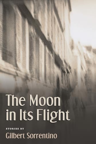 Moon in Its Flight view 2