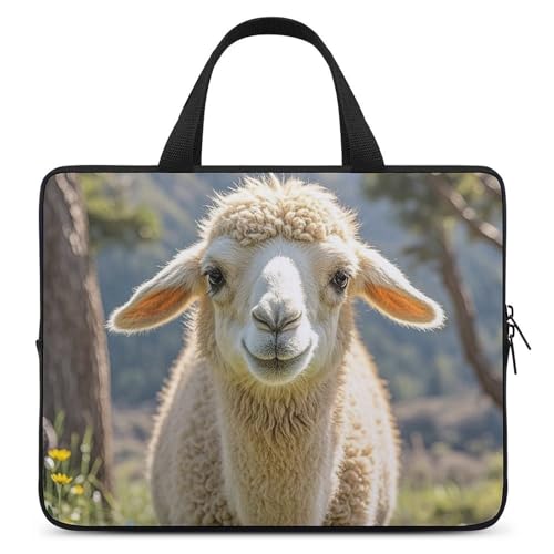 Sac ordinateur portable agneau contre la pluie pour votre PC