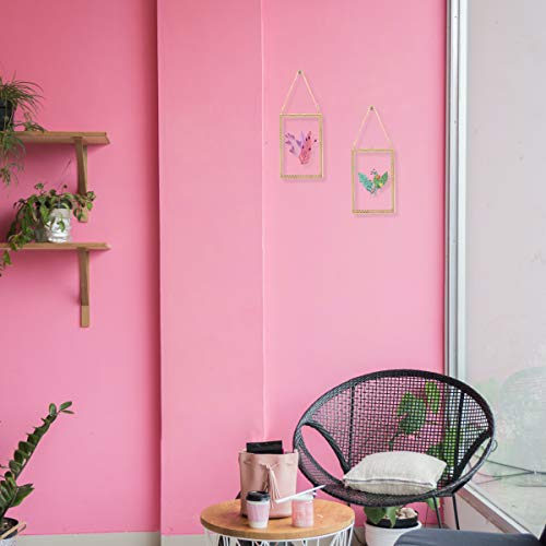 Longwin 2Pcs 4X6 Gold Glass Frame For Pressed Flowers Plants Wall Hanging Rectangle Brass Floating Picture Frames With Chain For Artwork Display Dried Leaf Herbarium Specimen Clip, Glass Frames Only #TOP3