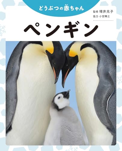 ペンギン (どうぶつの赤ちゃん) ペンギン (どうぶつの赤ちゃん)