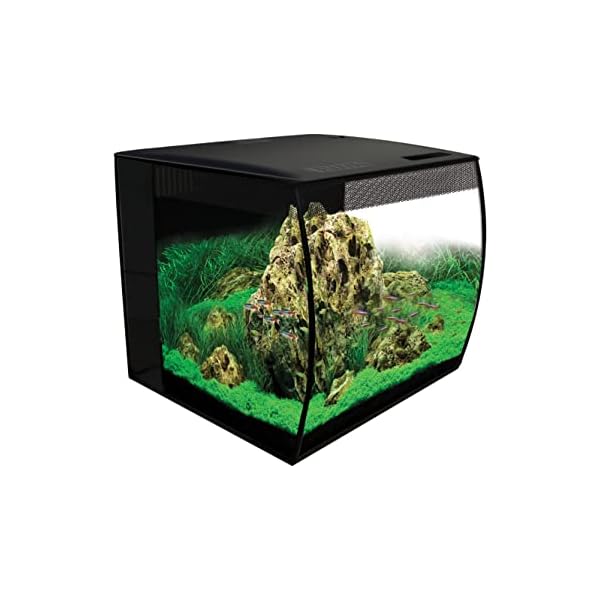 Hagen Fluval Flex Aquarium Kit, 41 x 39 x 39 cm, 57 Litre