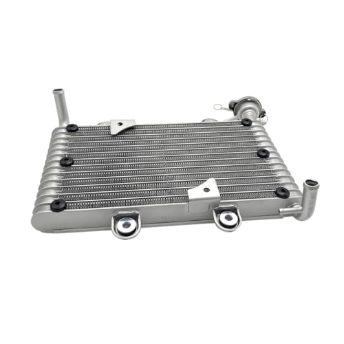 Radiateur de refroidissement Bashan 200 250 ATV pour quad BS200