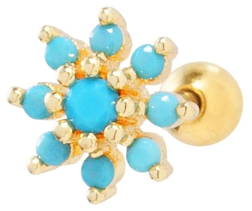 [From da Phactory] t _ t@Ng[ tFCN ^[RCY t[ Xg[go[x XeX sAX {fBsAX 1(14G,S[h)