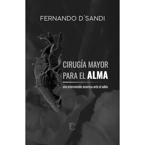 CIRUG&Iacute;A MAYOR PARA EL ALMA Audiolibro Por FERNANDO D&acute;SANDI arte de portada