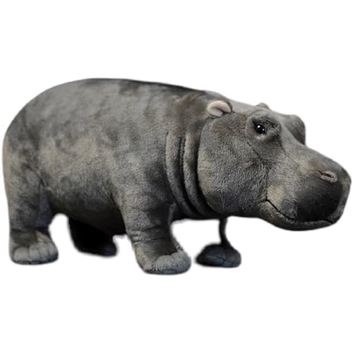 Fmtop-JP Jo ʂ 킢 ͔n  }XRbg NbV ӂӂ CeAG a v[g  w YQNbV