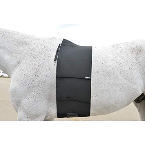 Equifit Belly Band For Spur Protection Oversized #TOP2