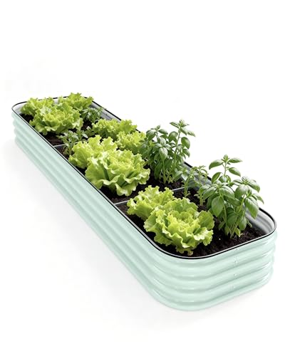 DaisyVibe Raised Garden Bed Kit, Planter Raised Garden Boxes Outdoor,