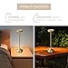 Orbit LED Cordless USB-C Re-Chargeable Desk Lamp, 5200mAh Battery Operated with 3 Color Temperature 2700K-3000K-3500K and Fingertip Touch On/Off Plus Dimming in Satin Brass