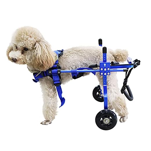HobeyHove Adjustable Dog Wheelchair for Back Legs，Pet/Doggie Doggy Wheelchairs with Disabled Hind Legs Walking (XS-Blue)