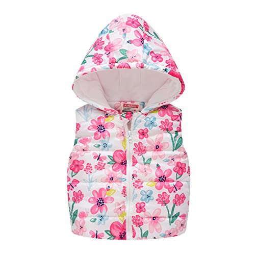 Toddler Boys Girls Winter Sleeveless Print Coat Hooded Jacket Thicken Windproof Zipper Warm Weather Jacket for Girls