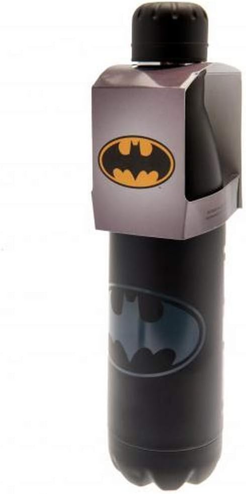 DC Comics - MDB25541 - Unisex Adult Steel Water Bottle - 500 ml - Multi-Colour