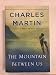 The Mountain Between Us: A Novel