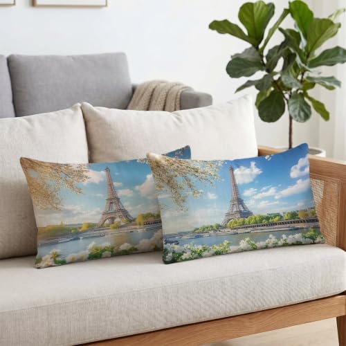 Coussin Decoratif pour Canapé Salon S6-418 Lot de 2 Confortable