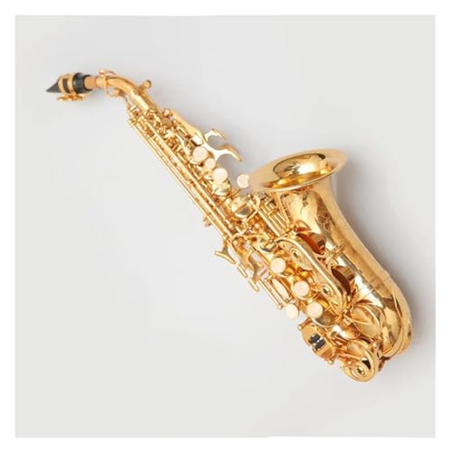 レア Kaerntner カーブドソプラノサックス 管楽器 ハードケース付属 レア Kaerntner カーブドソプラノサックス 管楽器 ハードケース