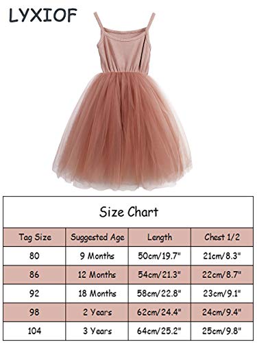 Lyxiof Baby Girls Tutu Dresses Sleeveless Princess Dress Infant Tulle Dress Toddler Sundress Pink 18 Months #TOP6