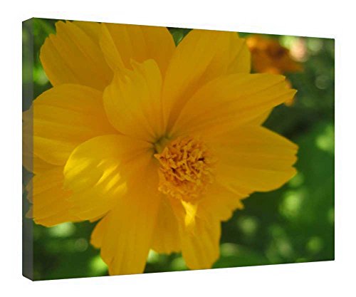 Cuadro de hibisco amarillo para salón: lienzo decorativo enmarcado de 16 x 20 pulgadas