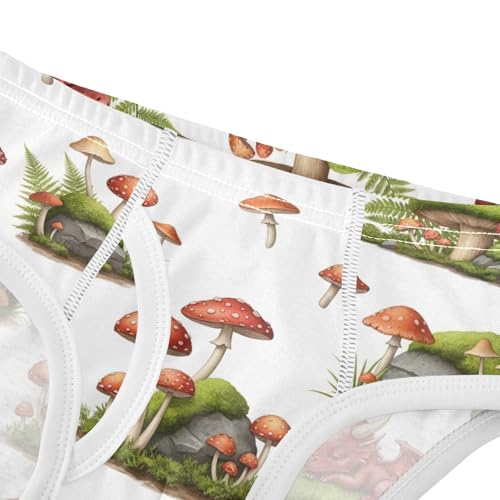 CHIFIGNO Boys Underwear Cotton Briefs Printed Soft Toddler Boys Brief Underwear, Cute Dragon Mushroom White4