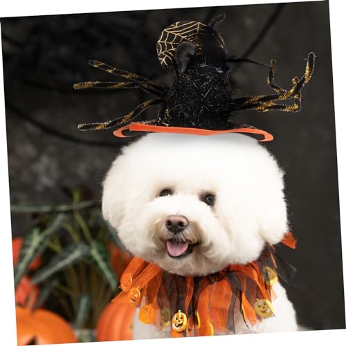 Set Halloween Collar Gato con Lentes y Sombrero miniatura 4