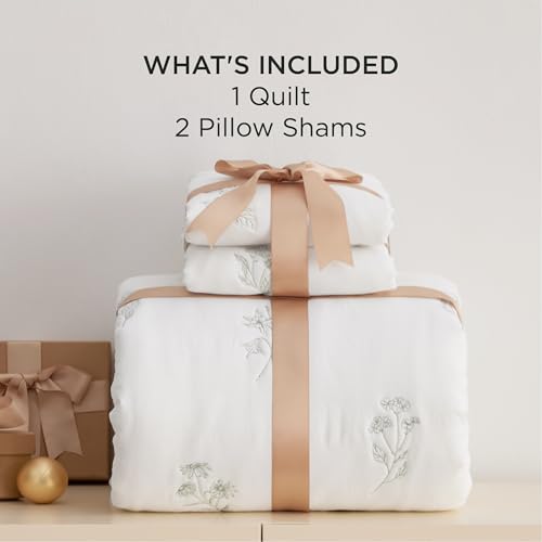 Image of Bedsure Cloud Quilt Queen Size, Botanical Floral Quilt for Modern Farmhouse Bedding, Super Soft Bedspread Queen Size, White Lightweight Comforter 90x96 Inch