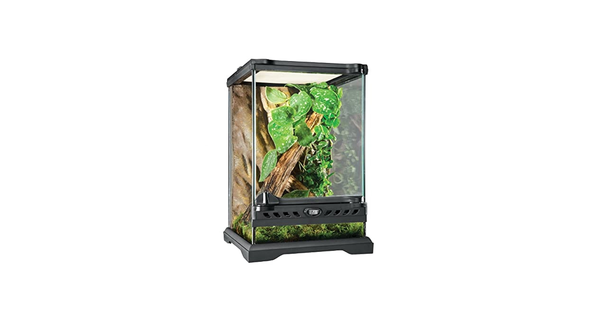 Amazon.com : Exo Terra Glass Natural Terrarium Kit, for