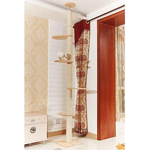 best floor to ceiling cat tree