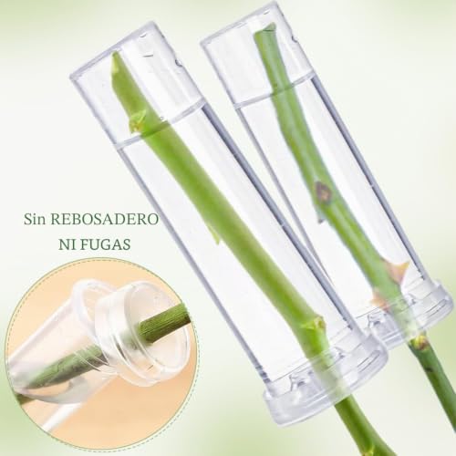 Miniatura 3 de 30 Tubos De Plástico Para Flores, Tubos Para Agua De Flores De 7,5 Cm, Tubos Para Flores, Tubos De Plástico Transparente Para Flores Frescas Para Decoración Floral Y Cultivo De Plantas