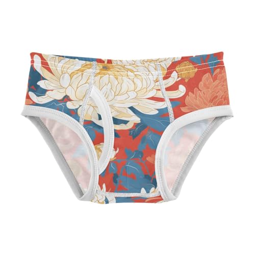 KLL Red Chrysanthemum Baby Boys Comfort Briefs Underwear Cute Children Undies