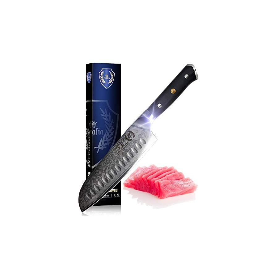 Santoku chef Knife 7 inch: Best professional scalloped hollow (granton) edge Japanese AUS-10 67 layer Damascus steel ultra sharp blade w/G-10 Ergonomic handle by the Regalia Knives