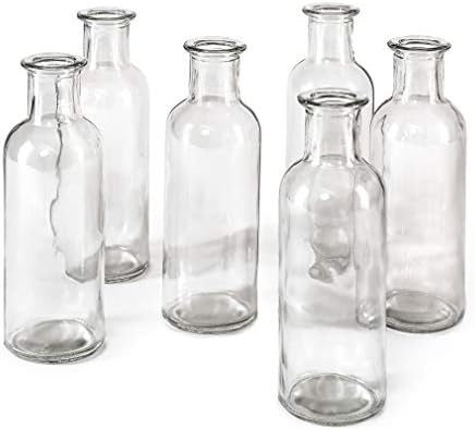 Serene Spaces Living Clear Glass Bud Vases – Vintage Apothecary J...