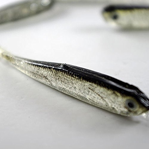 Fishing Lures Bass Lures Fishing Lures Bait Banjo Minnow Best | Desertcart Papua New Guinea Fishing Lures Bass Lures Fishing Lures Bait Banjo Minnow Best | Desertcart Papua New Guinea