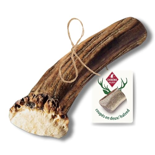 ChronoBalance-M Bois de Cerf pour Chien, Lot de 1, Coupé en Deux, Snack 100% Naturel, Soin Dentaire, Jouet pour Chiens, Os sans Produits Chimiques