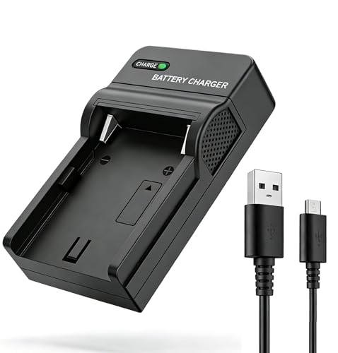LP-E6 LP-E6N �[�d�� USB �V���O�� �L���m�� LC-E6E �݊��R���p�N�g �y�� EOS 5D/6D/R5/R6 �Ή� (LP-E6/E6NUSB�[�d��)