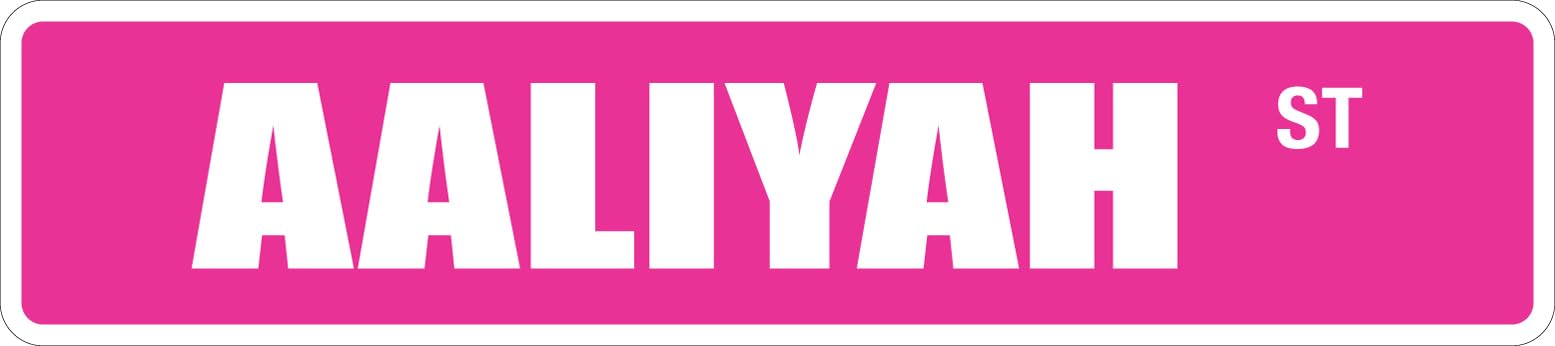 metal sign Aaliyah 4" x 16" Metal Novelty Street Sign