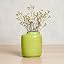 Apple Green
