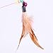 Blnboimrun Pet Teaser Cat Toy Steel Wire Feather Interactive Cat Stick Training，Kitten Wand Toys with Beads Bells (2 Pack)