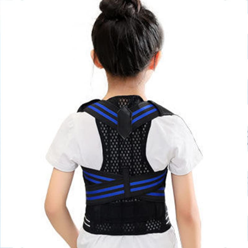 2次・私大型記述模試詰め合わせ ベネッセ駿台全統代々木 2次・私大型