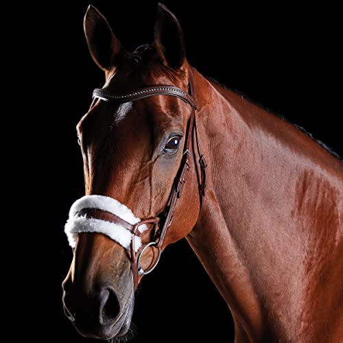 Bridle Collegiate ComFiTec cuir haut de gamme et muserolle mouton
