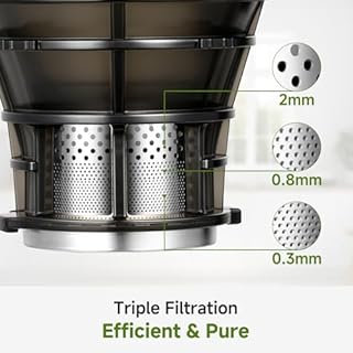 AMZCHEF Automatic Cold Press Juicer Machines 250W Liberate Your Hands -135MM Opening and 2L Capacity Slow Juicers for Whole Fruit and Vegetable