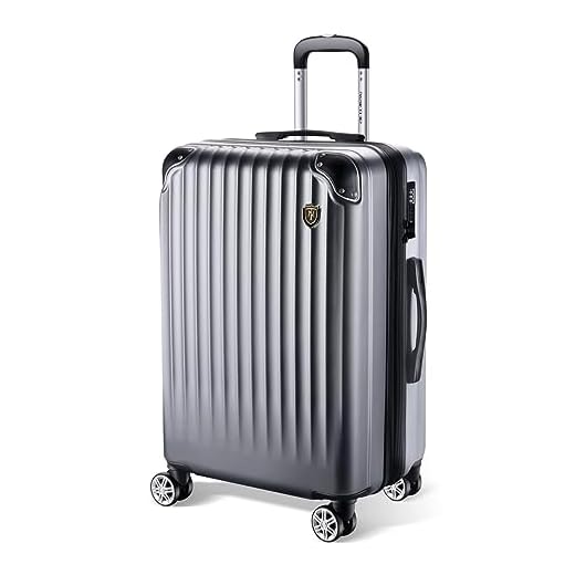 [New Trip] スーツケース キャリーケース 拡張機能付き 機内持ち込み 軽量 大型 S/M/Lサイズ キャリーバッグ 耐衝撃 大容量 ファスナータイプ 静音 ダブルキャスター TSAロック 海外 旅行 ビジネス 出張 (シルバー、Lサイズ：7泊～長期旅行/95L)