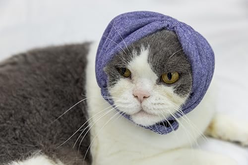 Image of Cat Hematoma Ear Wrap,Noise Cancelling Calming Anxiety & Stress Relief - Ear Cover for cat Purple S