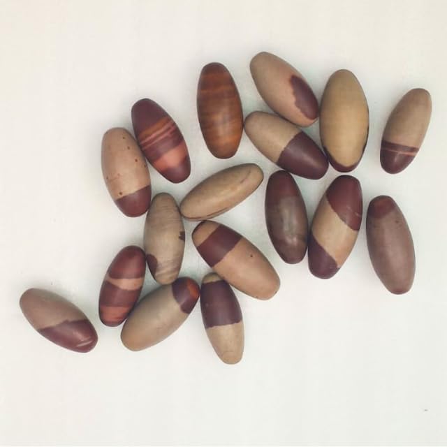 Narmada Shiva Lingam Stone 1.3 Inch Set of 11 โ Natural Narmadeshwar Banalinga from Narmada River, Sacred Shivling for Pooja, Meditation, Reiki Healing & Spiritual Energy